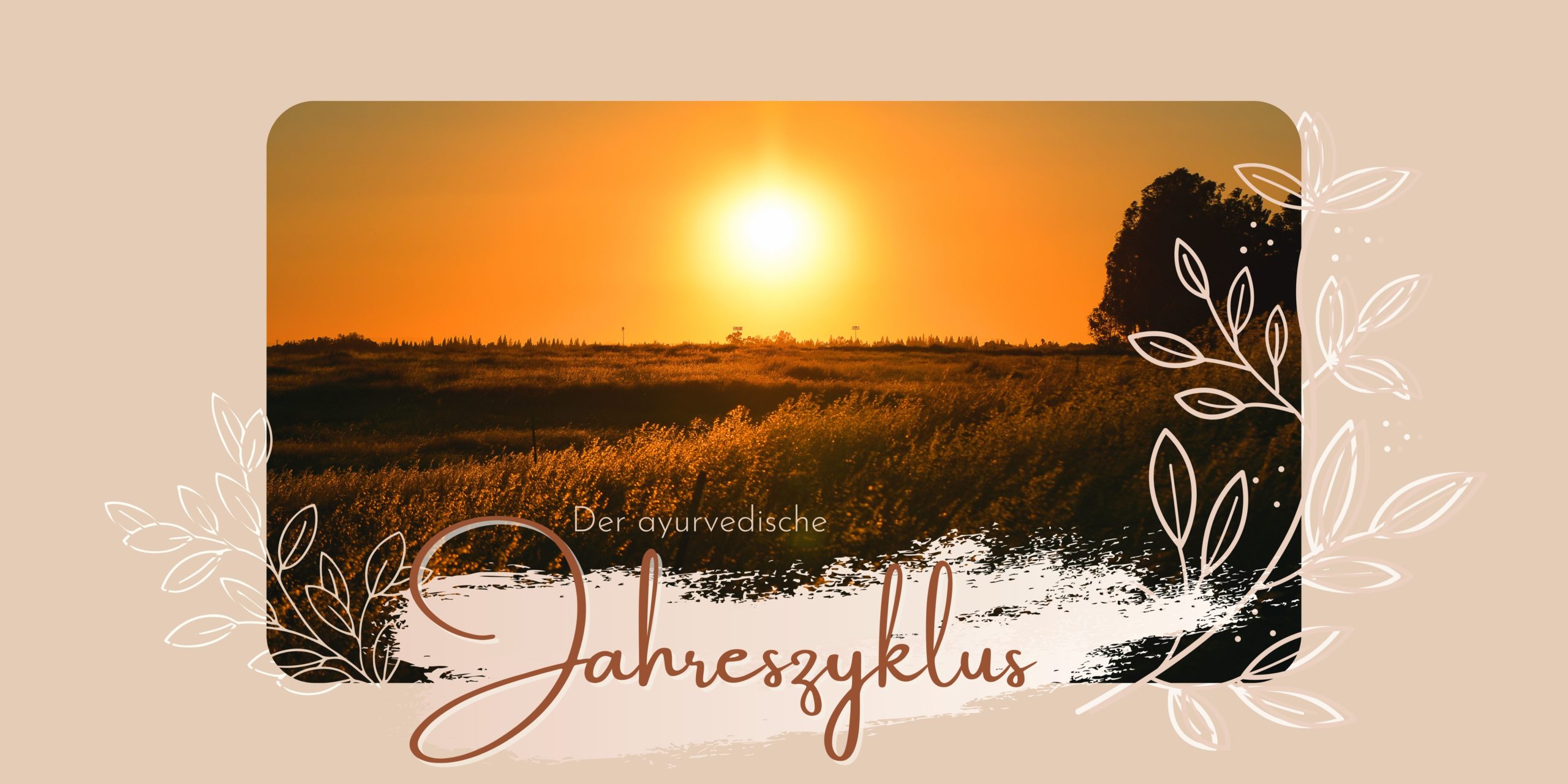Read more about the article Der ayurvedische Jahreszylus