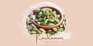 Kardamom - Die Königin der Gewürze