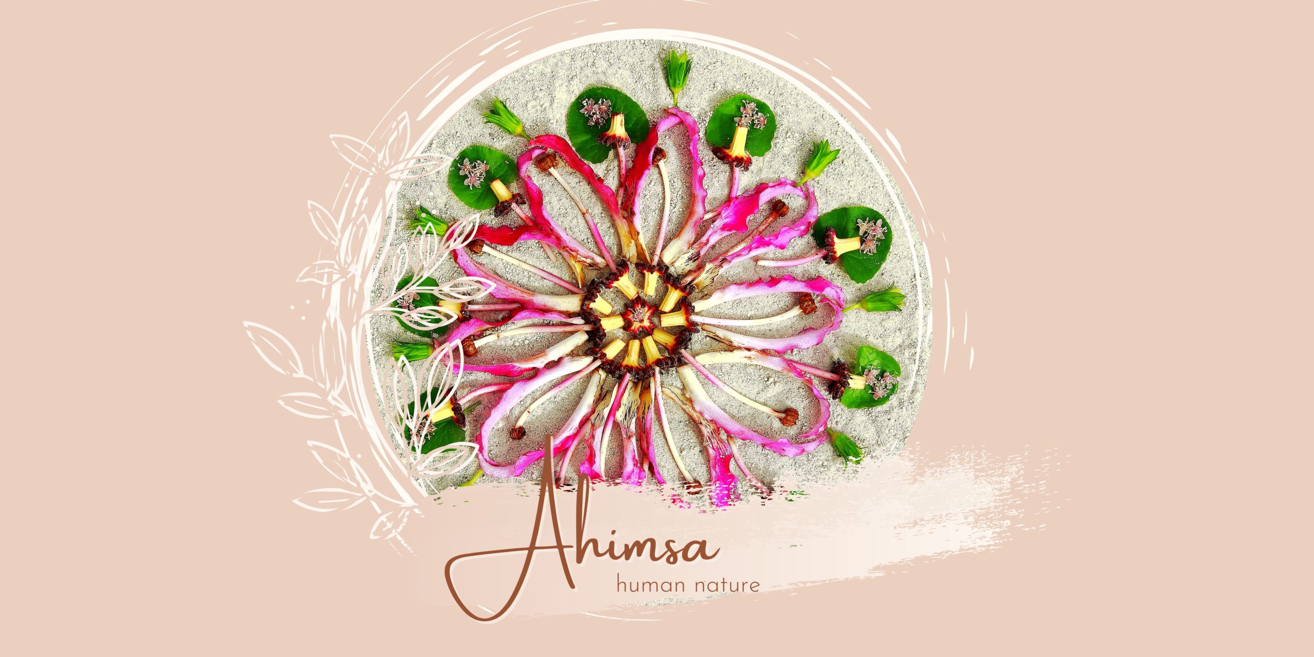 Read more about the article Ahimsa