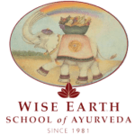 Wise Earth - Logo