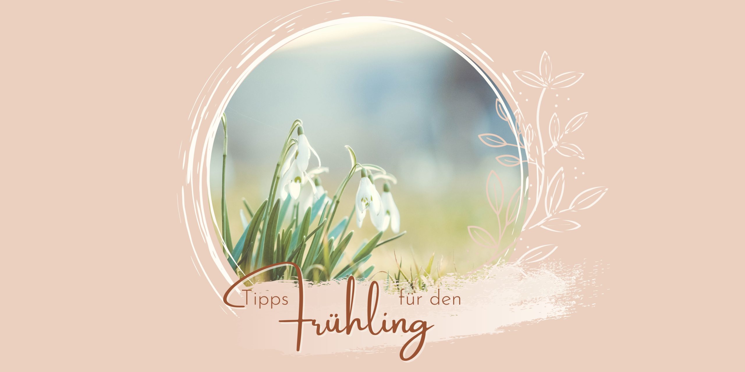 Read more about the article Tipps für den Frühling
