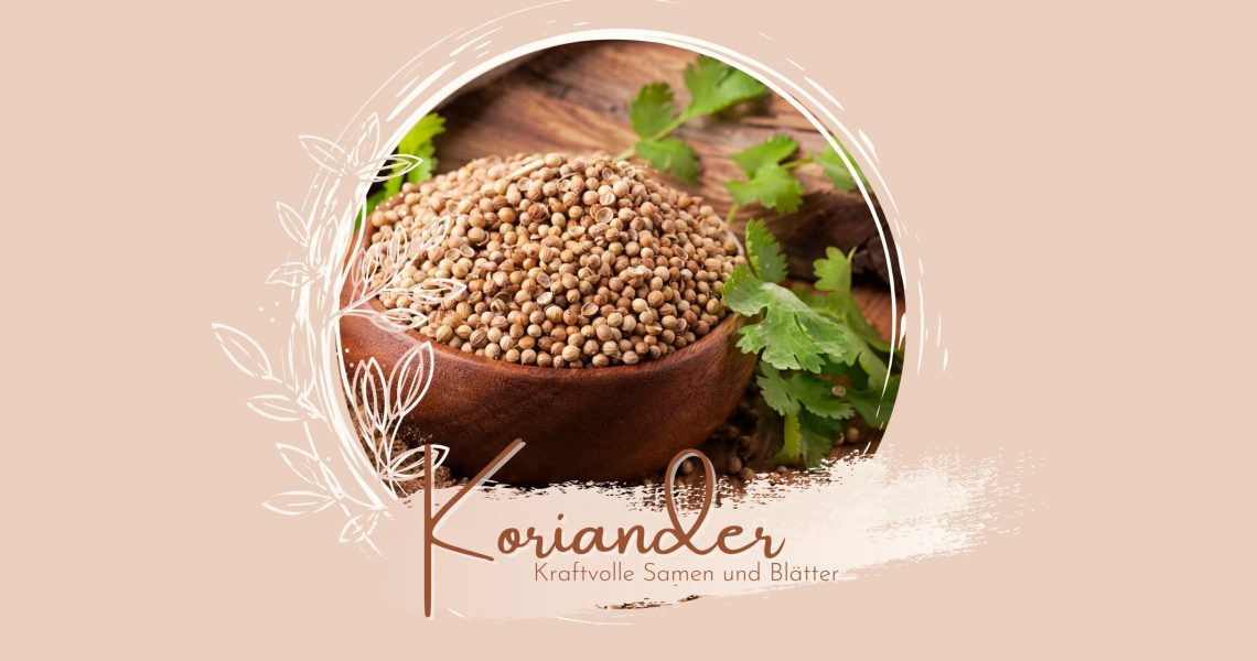Koriander - Kraftvolle Samen und Blätter